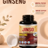 ChatGPT Image Aug 11, 2026, 05_56_23 PM Ginseng Extract
